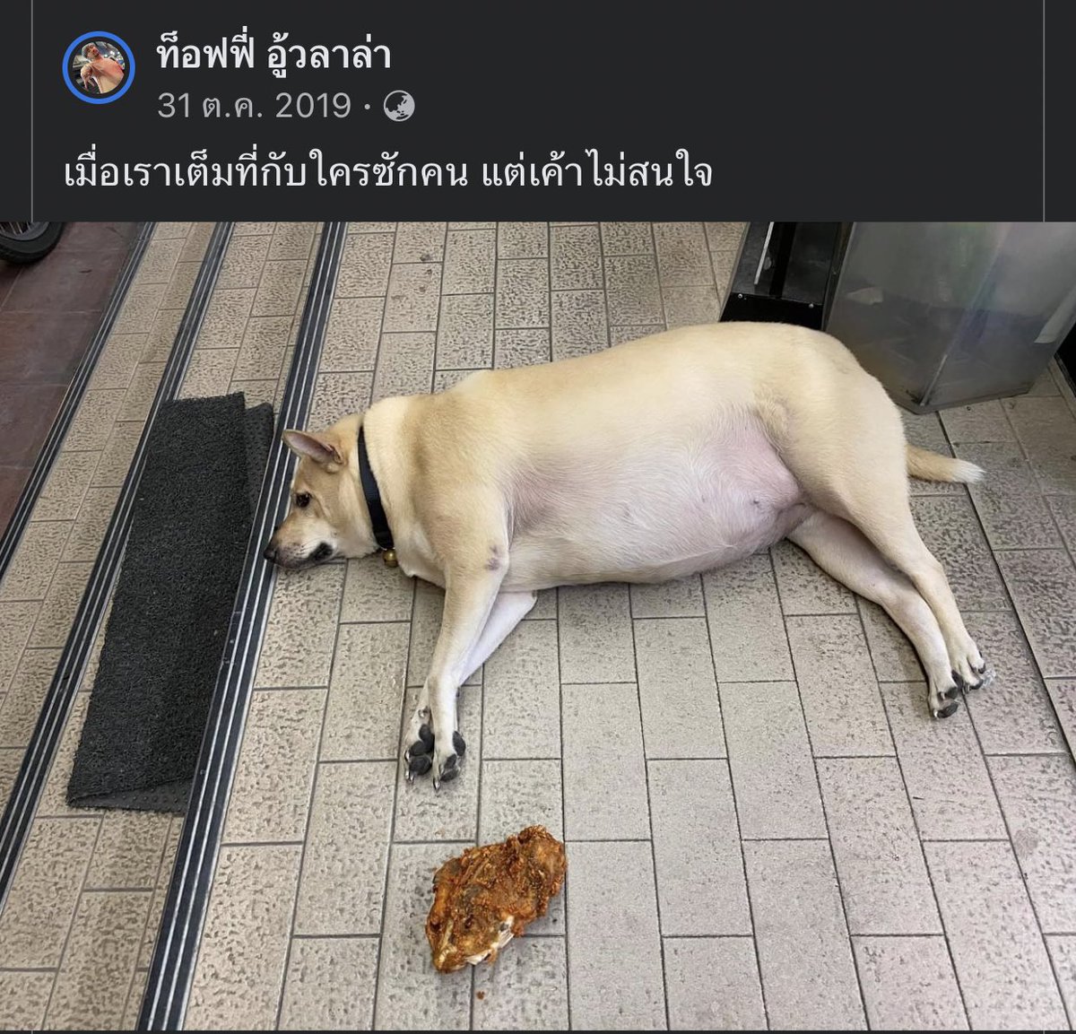 พี่บิวตี้คนคูล(ลัทธิแมวส้ม) (@beauticoolcom) on Twitter photo 