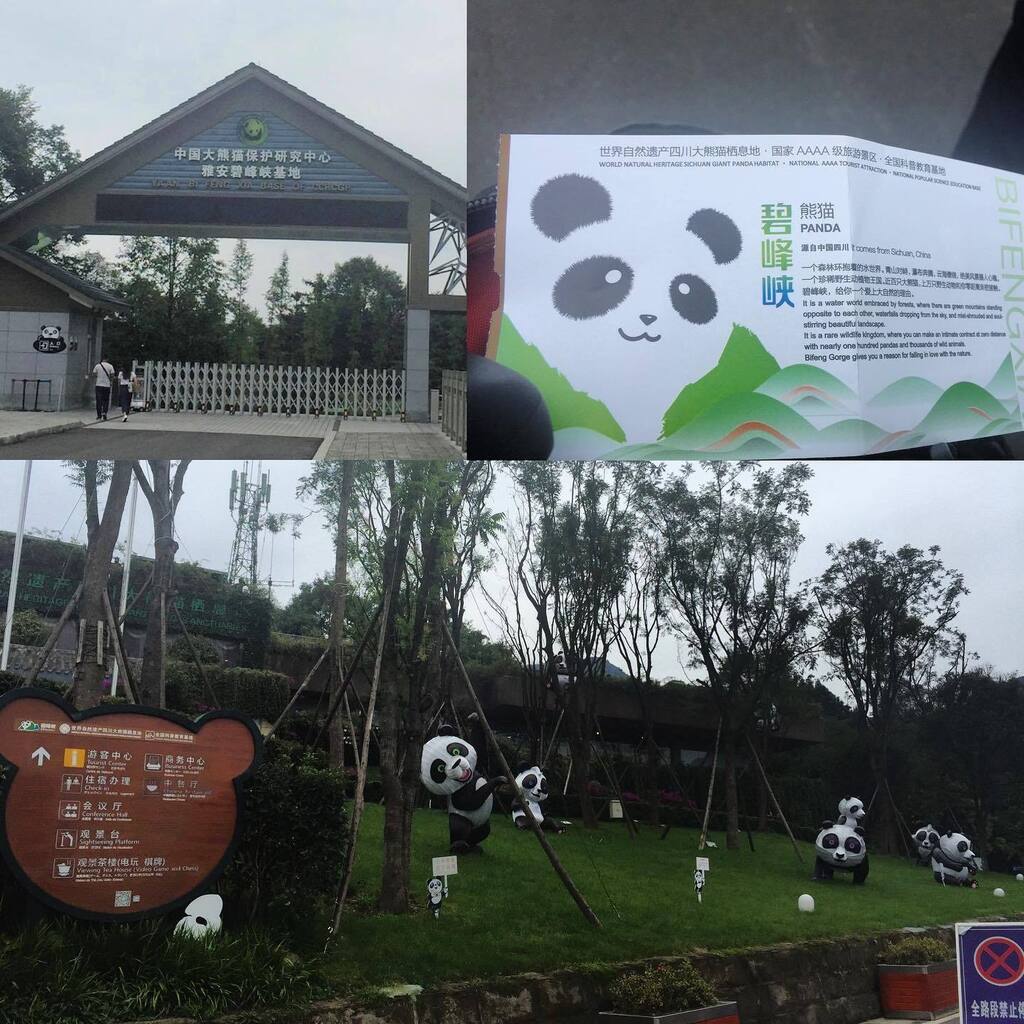 碧峰峡入り口(2017/9)、案内板に日本語の記載もあります
#xiangxiang #uenozoo #giantpanda #上野動物園 #シャンシャン #香香 #雅安 #碧峰峡　#bifengxia #ccrcgp instagr.am/p/CpCQKZtvuee/