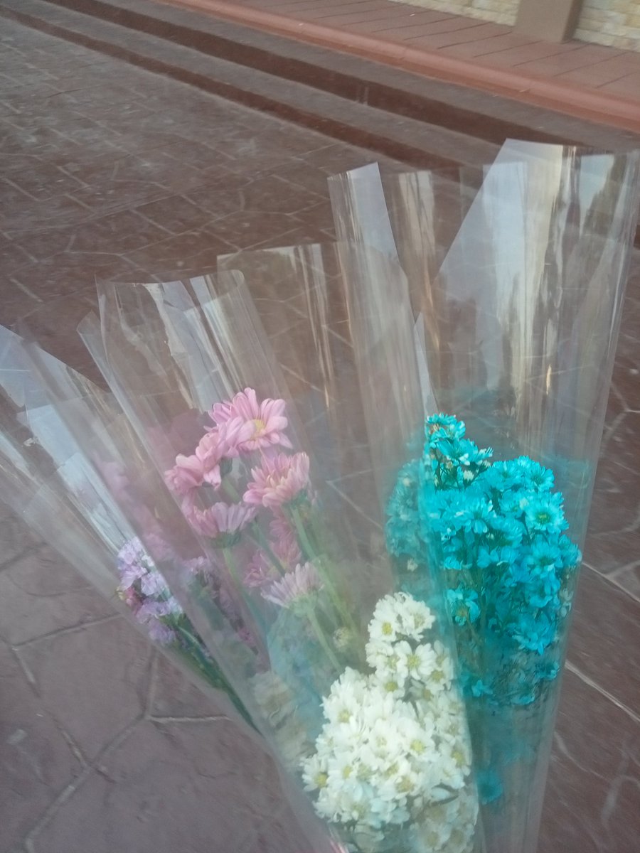 princes07574079's tweet photo. I hope he buys you flowers. https://t.co/GHY60qZ9Ga