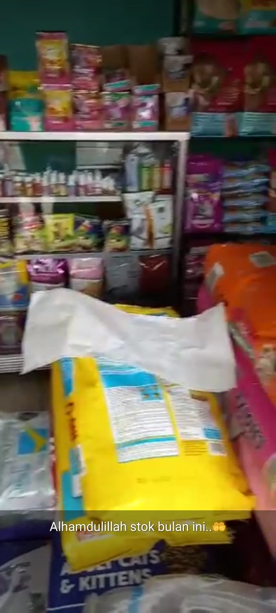 Salut bgt sama OB di kantor. Orangnya pinter manfaatin peluang. Dulu suka jualan snack/kripik2 buatan karyawan, diedarin tiap lantai, macam jadi reseller. Nawarin jualannya via WA, klo gada cash bs transfer.

Eh skrg dia udah punya toko sendiri, jualan makanan kucing. Keren.