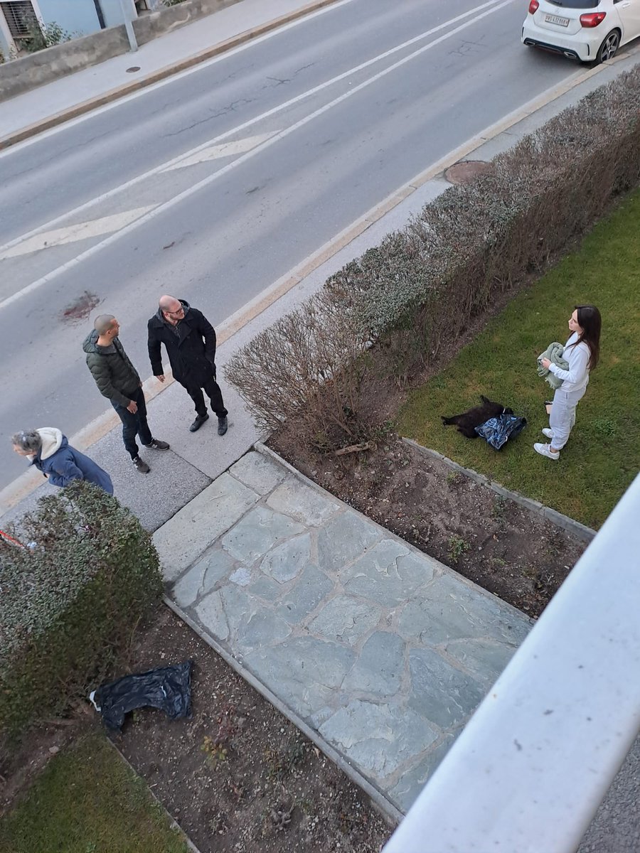 Aujourd'hui un chat mort, demain un enfant mort ?
La route de Rawyl (du rond-point de la place de Cheval à celui de Veyras) à #Sierre est un circuit de course. Pour quand la zone 30 dans ce quartier ou du moins mis en des chicanes routières. <a href="/VilleDeSierre/">Ville de Sierre</a>