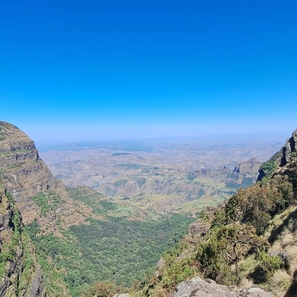 While you are planning a trip to Ethiopia!
Ethiopia is big. To make the most out of your time in the country, think about what excites you most... 
linkedin.com/feed/update/ur…
#Planyourtrip #BookYourAdventures #Travelwithus #VisitEthiopia
@visiteth251 @BeZyee @SmartEthiopians