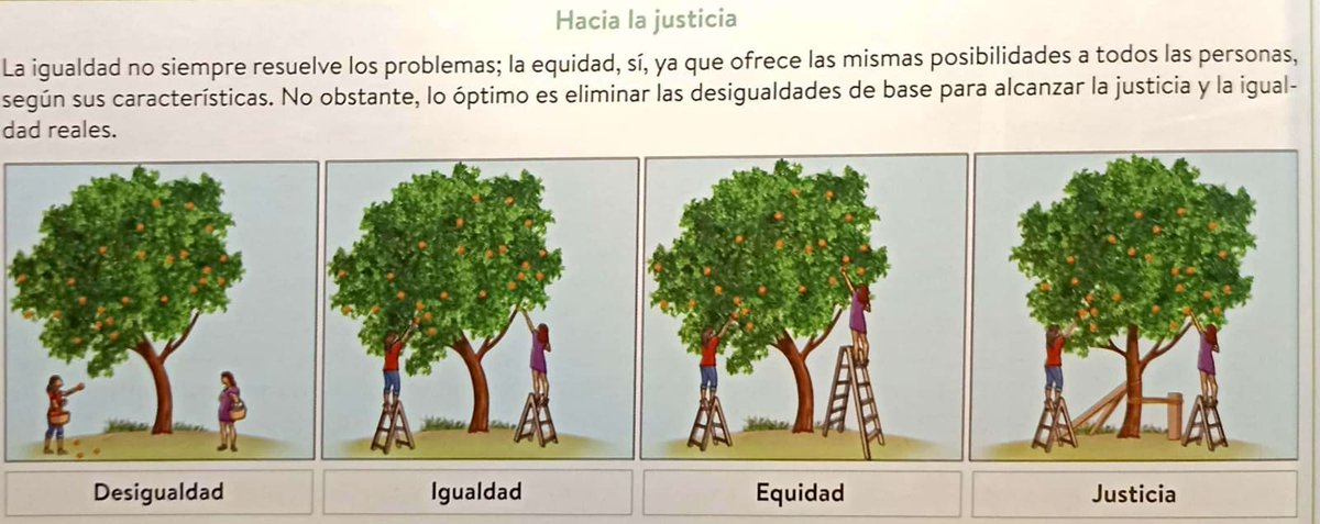 "EQUALITY doesn't always solve problems. EQUITY, yes, since it offers same possibilities to all people, according to their characteristics. However, the optimum is to eliminate basic inequalities to achieve real equality and JUSTICE." This's in my niece's biology book, love it!