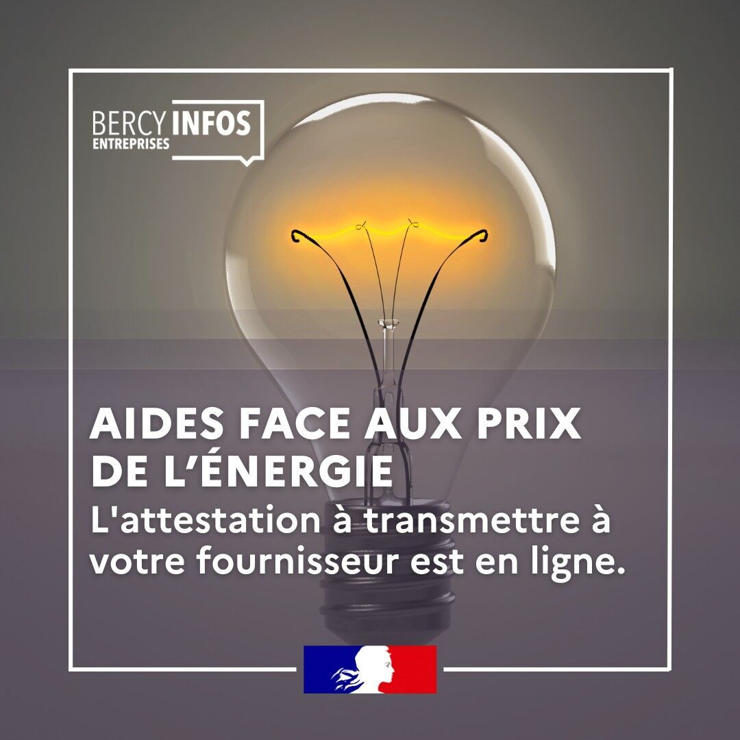 #Énergie | Votre entreprise est une TPE ou une PME ? 
📝L'attestation à transmettre à votre fournisseur pour bénéficier des aides face à la hausse de vos dépenses d'énergie est en ligne.
🗓️Du 16 janvier au 31 mars 👉swll.to/Mfd75
