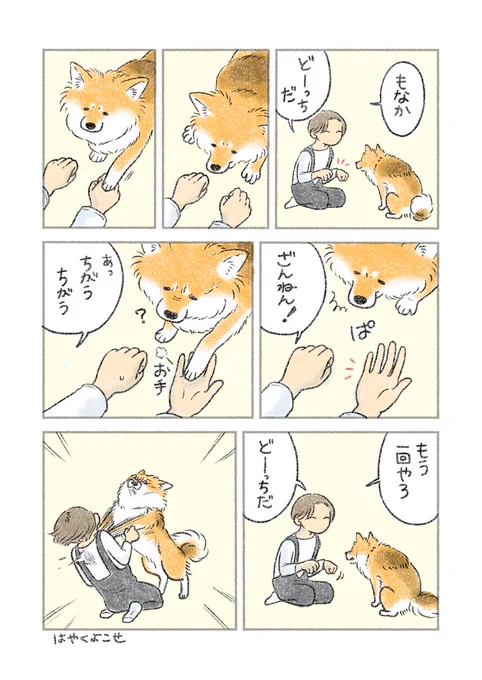 うまくルールが伝わらなかった 