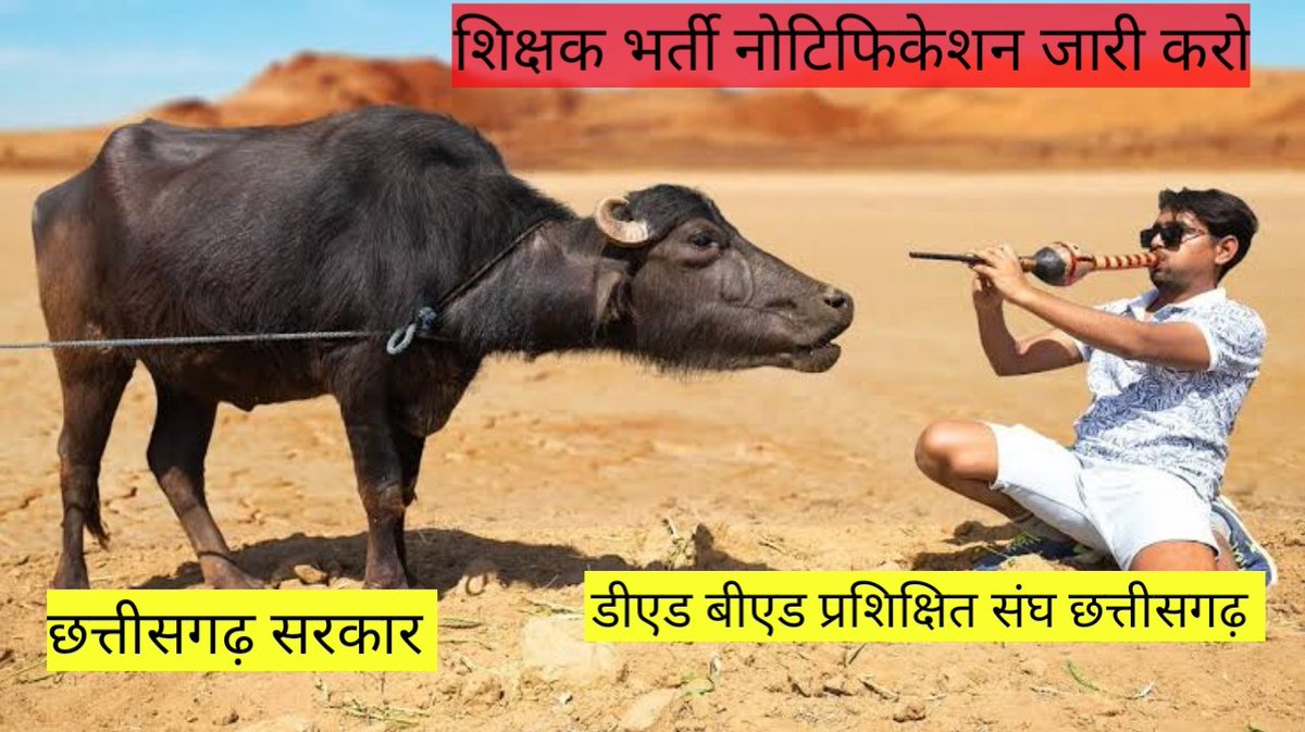 #छग_शिक्षक_भर्ती_23_जल्द_शुरू_करो
 <a href="/bhupeshbaghel/">Bhupesh Baghel</a> <a href="/ChhattisgarhCMO/">CMO Chhattisgarh</a> <a href="/Drpremsaisingh/">Dr. Premsai Singh</a> <a href="/INCChhattisgarh/">INC Chhattisgarh</a> <a href="/RahulGandhi/">Rahul Gandhi</a> <a href="/IBC24News/">IBC24 News</a> <a href="/News24_MPCG/">News24 MP-CG</a> <a href="/ZeeMPCG/">Zee MP-Chhattisgarh</a> <a href="/triptisoni6194/">Tripti Soni</a> <a href="/RajniThakurCG/">Rajni Thakur</a> <a href="/Deveshtiwari_/">Devesh Tiwari Amora</a> <a href="/drramansingh/">Dr Raman Singh</a> <a href="/Chandrakar_Ajay/">Ajay Chandrakar</a> <a href="/satyarajput321/">satya rajput</a>