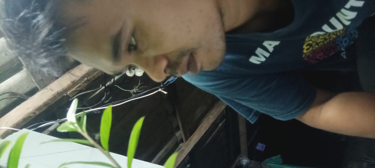 นำเแคบนัดได้