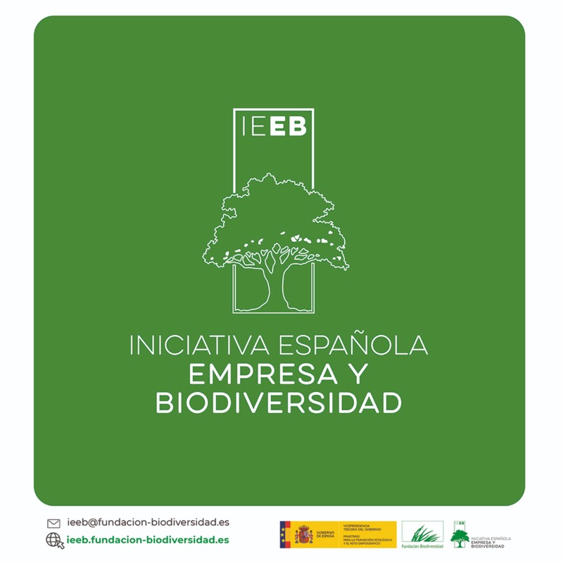 emprendeverde's tweet photo. ¿Cómo integrar #EmpresayBiodiversidad? ¿Por dónde empezar?
¡Participa en la nueva #IEEB!
🚩Colabora en proyectos internacionales: #SUSTAIN @BiodiversaPlus #AlignforNature
🚩Tiene socios estratégicos: @CEOE_ES @foretica @FGlobalNature
👉https://t.co/DdxbH0SEjR