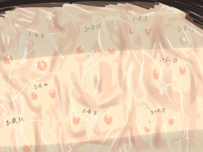 [R-18G] 1クラス丸ごと皮にされて縫合され、男子生徒たちの精液まみれになる…的な落描き 