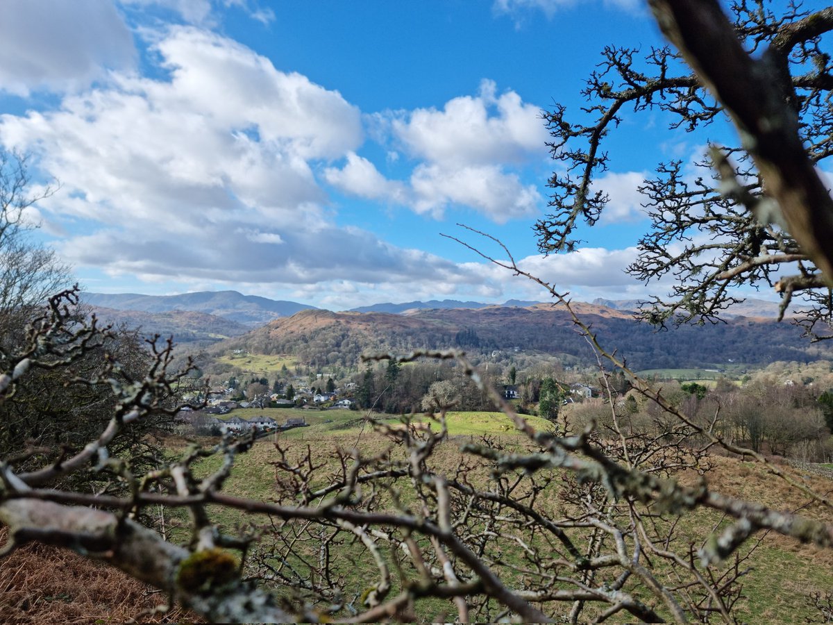 SingletonWayne's tweet image. It's easy to get distracted by the big stuff, and miss out on the small

#swank #lichen #treebeard