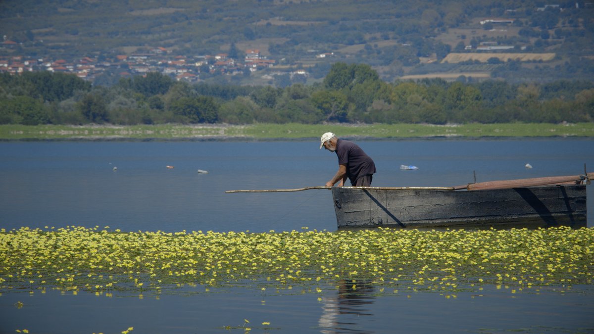ert_world's tweet photo. Tαξιδεύουμε στο τριεθνές του Μπέλες, που ενώνει τρεις βαλκανικές χώρες: Ελλάδα, Βουλγαρία και Βόρεια Μακεδονία.
📌#βαλκάνιαεξπρες Απόψε στις 20:00 στην #ertworld
#balkanexpress #ΕΡΤ https://t.co/Ybnobwx779