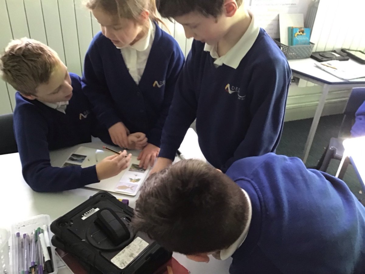 DeltaPheasantB's tweet photo. Year 3 Chalk hill blues have enjoyed categorising items into plants and not plants this was the starter activity to the session answering the big question of what are plants? #PBAscience #PBAoracy https://t.co/8mcaTBlUf2