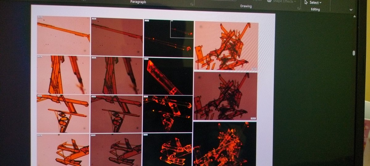 Pradip_chem's tweet photo. Making a presentation using these glowing crystals was so much fun...
#FluorescenceFriday
#RealTimeChem #realchem #phdlife #crystals https://t.co/s2baGJJpkC