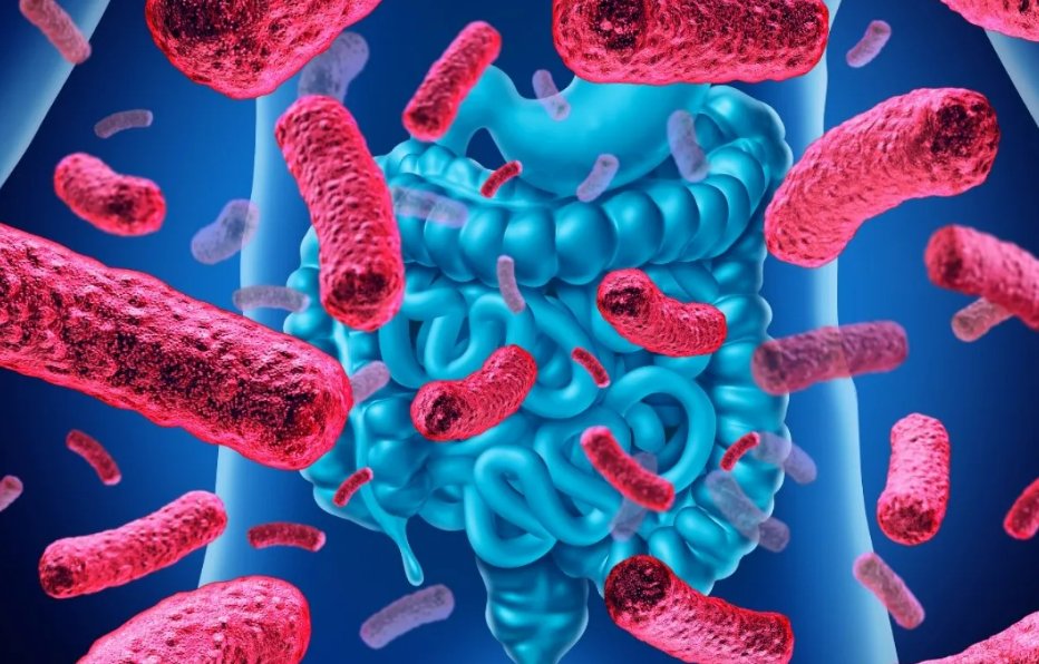 Detoxing is a critical part of optimal health. 

Especially gut health. 

Here's how to detox your gut the right way:

(no your 5-day juice cleanse isn't going to do it)