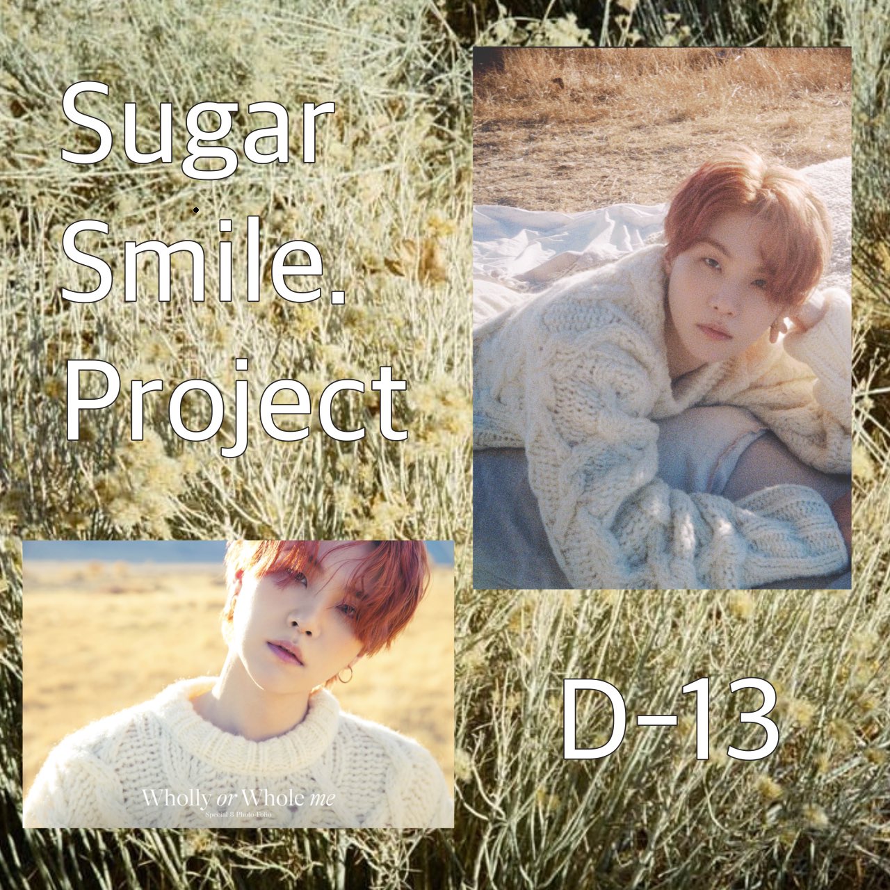 SugarSmileProject - البحث / X