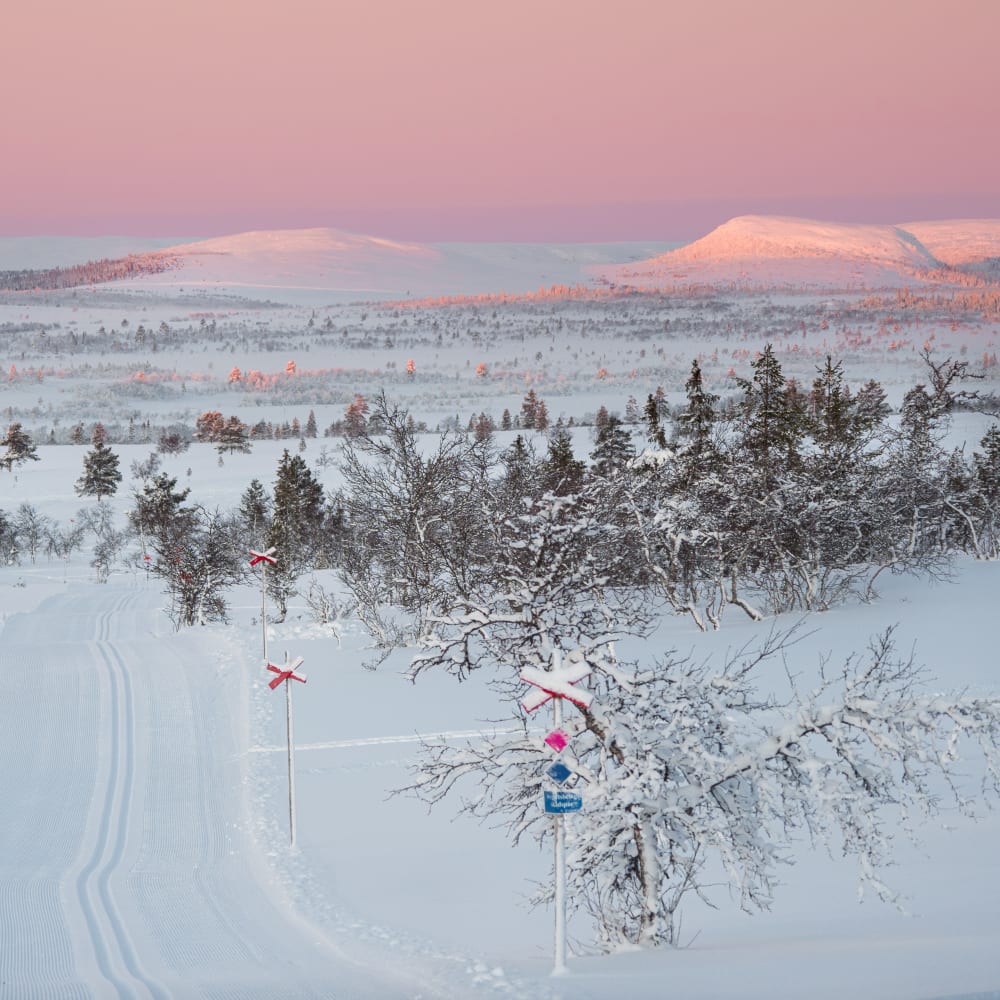 Lofsdalen_'s tweet photo. Lofsdalen utsedd till Årets Fjälldestination på Grand travel Award @travelnewsred #lofsdalen #grandtravelaward 
 https://t.co/LShTTiAw2z https://t.co/ck2SuEnE7m