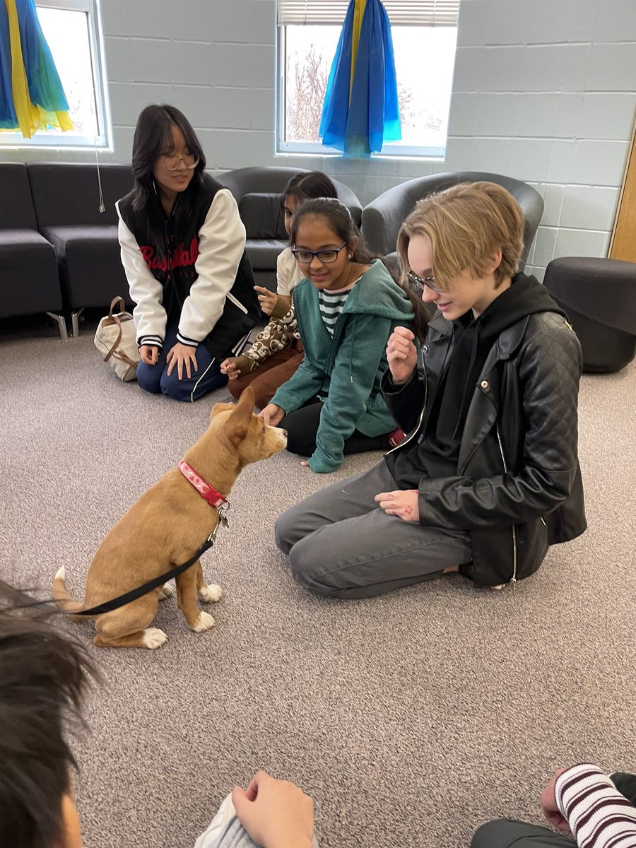 Sydney Stevens tweet media