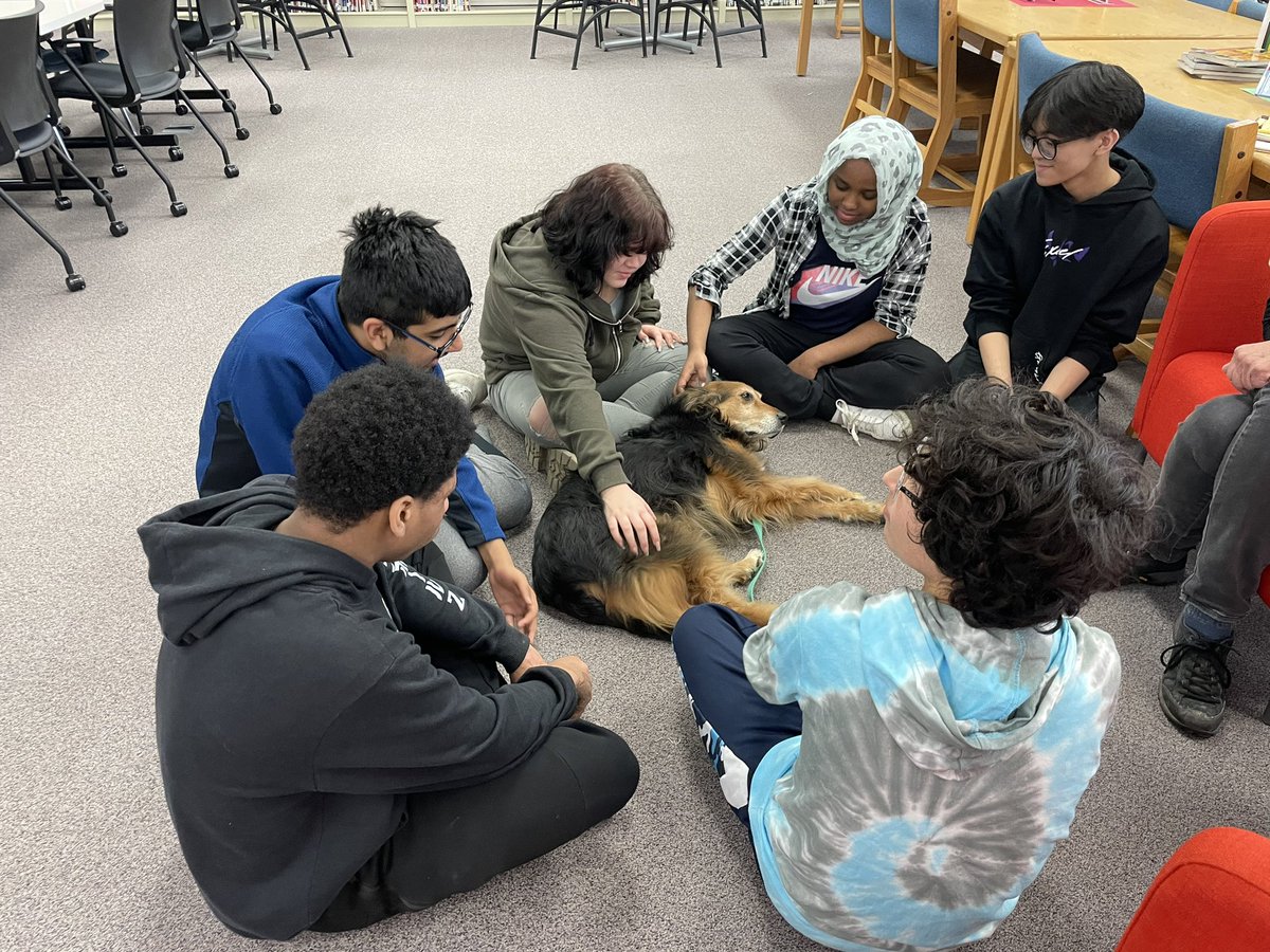 Sydney Stevens tweet media