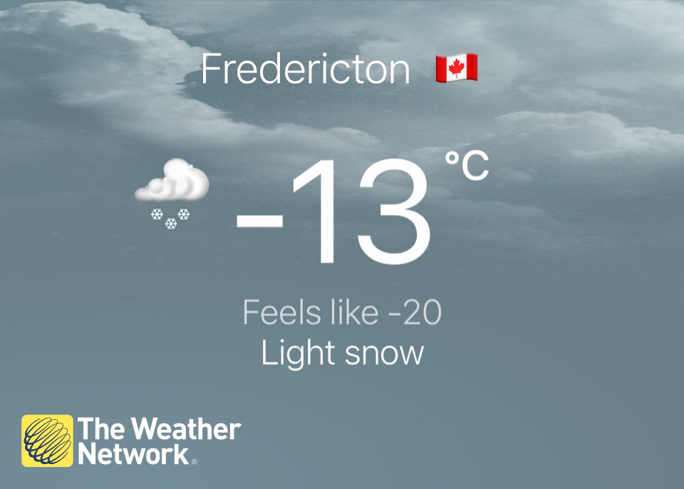 adamspests's tweet photo. Stay safe out there folks. We got some fluffy snow to play in today! #ShareYourWeather #TheWeatherNetwork  https://t.co/lYMFEHvAMz https://t.co/MLCCVAAaCz