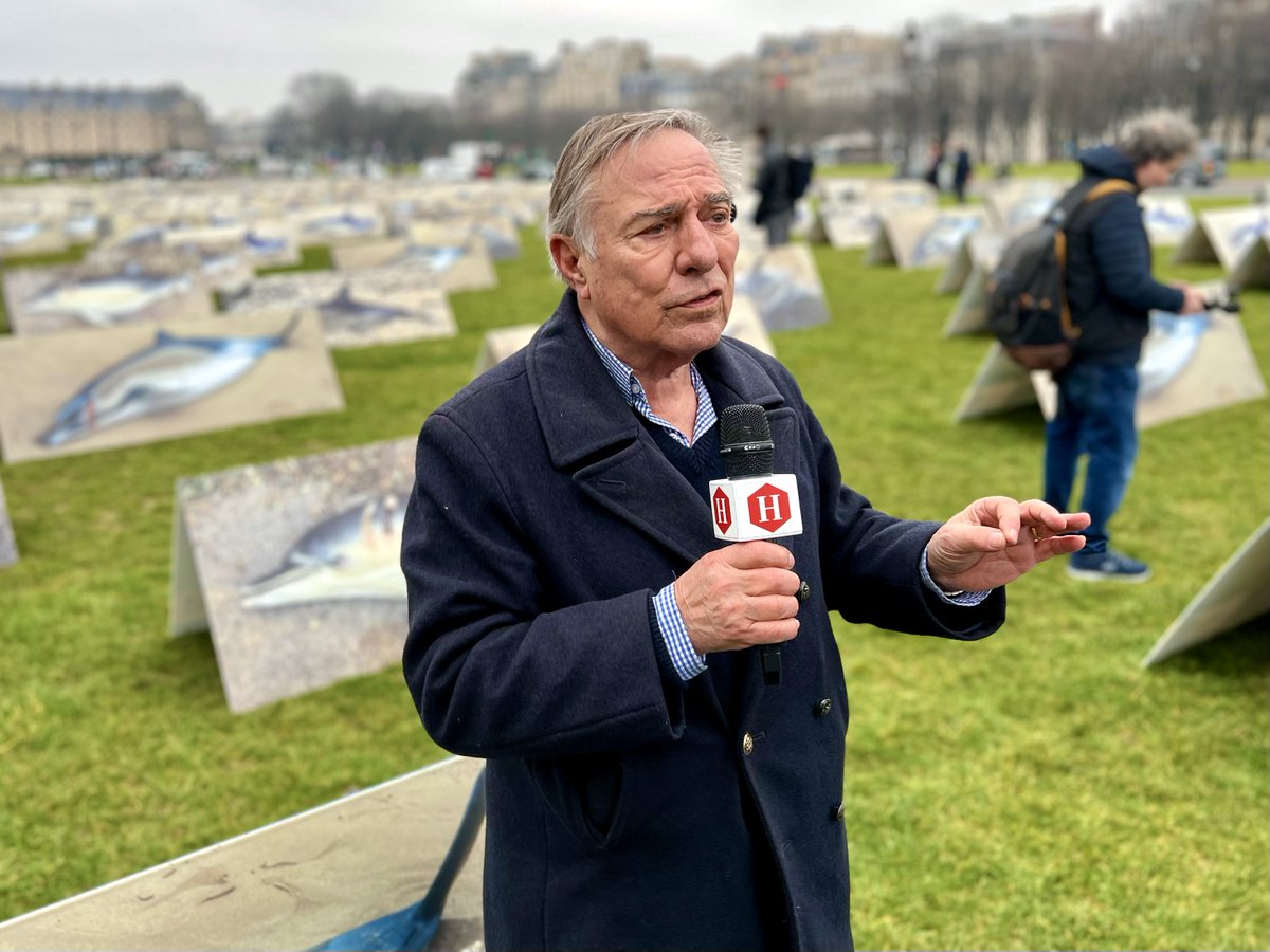 "#400dauphins sur l'Esplanade des Invalides, #MortsOuVifs, ça dépend du <a href="/gouvernementFR/">Gouvernement</a>: on vous explique pourquoi": itws d'Allain Bougrain-Dubourg/<a href="/M_Orphelin/">Matthieu ORPHELIN</a>/<a href="/LPOFrance/">LPO France</a> @romaintrouble/<a href="/TaraOcean_/">Fondation Tara Océan</a>, Arnaud Pennarun skipper de #PenDuickIII [1]  La [VIDÉO]: youtu.be/oBm649JX6Y4