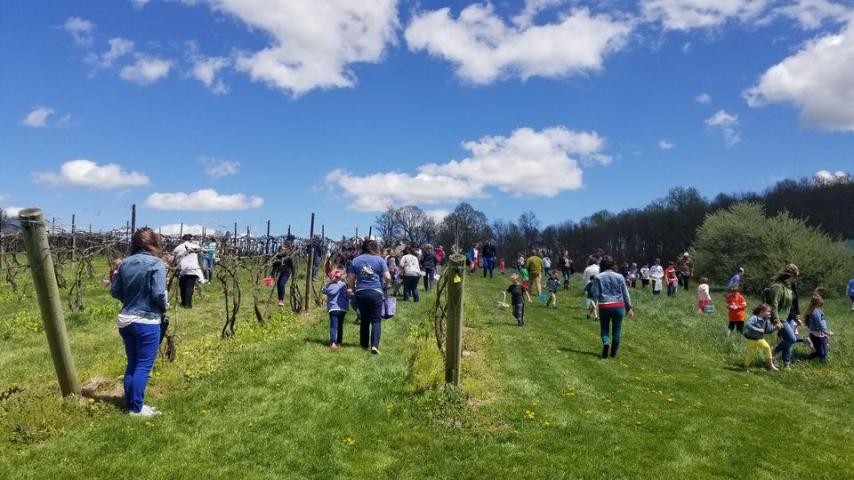 SATURDAY, APRIL 1, 2023 AT 12 PM – 5 PM Easter Egg Hunt Rockbridge Vineyard & Brewery
#easter2023 #virginia #localevents #community #communityevent #hideegg #easterbunnny #familyfun #children #allwelcome #events #rockbridgecountyva #vineyard #brewerytap #brewery #EggHunt #april