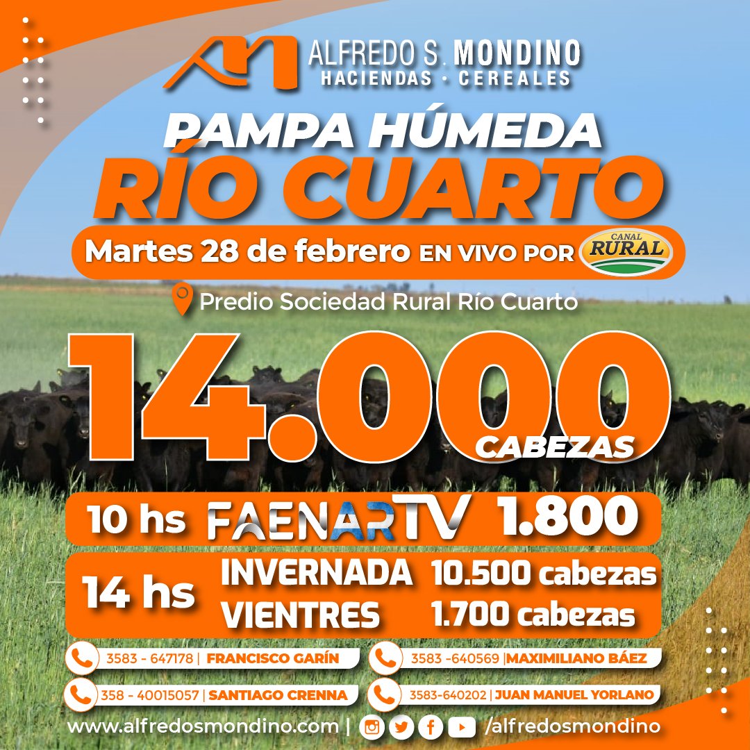 alfredosmondino's tweet photo. 14 MIL CABEZAS 🐮🔥
𝗥𝗘𝗠𝗔𝗧𝗘 𝗧𝗩 𝗣𝗔𝗠𝗣𝗔 𝗛𝗨́𝗠𝗘𝗗𝗔 | 𝗥𝗜́𝗢 𝗖𝗨𝗔𝗥𝗧𝗢

🗓 Martes 28 de Febrero.
📺 En Vivo por CANAL RURAL y Streaming en nuestro Canal de YouTube 🖥.

📍Desde el Predio Ferial de la Sociedad Rural de Río Cuarto.
#AlfredoSMondino #CampoArgentino https://t.co/9LPLrzy6pI