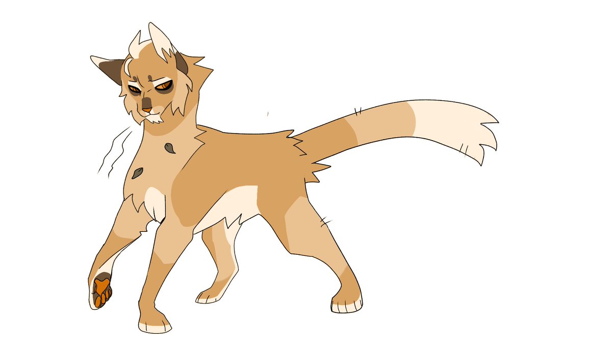 Custrad3's tweet photo. Warrior kitty designs that have been sitting in my attic
First 2 r Tree and Bristlefrost and the last one is my littlecloud apprentice . Anyways  I love tree
Um don't i need to put the. #warriorcats https://t.co/PXSHRmrGLg