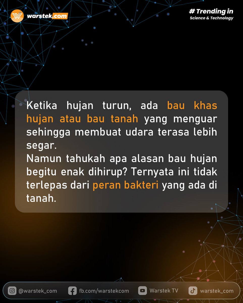warstek_com's tweet photo. Pasti pernah ngerasain kan kalian?
Kenapa kok enak ya baunya, kenapa kok bikin rileks yaa...

Nah semua itu karena ada peran dari bakteri yang ada di tanah gaes.

_____
#hujan #air #bau #enak #aroma #seger #menyegarkan #alami #alamiah #natural #update #asik 
#sains https://t.co/vBfL9iC8AO