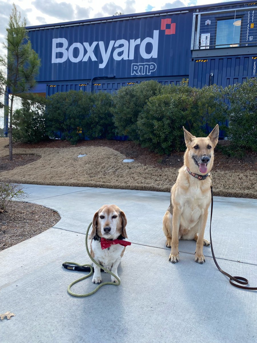 DTC_USA's tweet photo. FREE ask the trainer event Saturday 2/25 11:30-2:30 pm @BoxyardRTP We would love to meet you and your dog 🐶 https://t.co/W3XIAxDcgZ