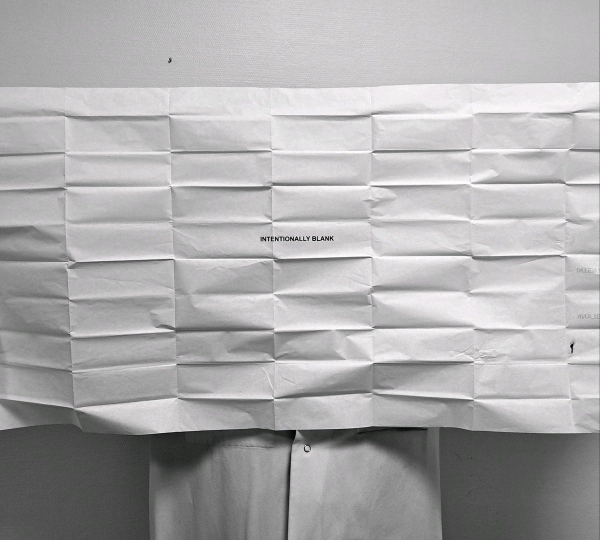 Sonia Prot-Labarthe tweet media