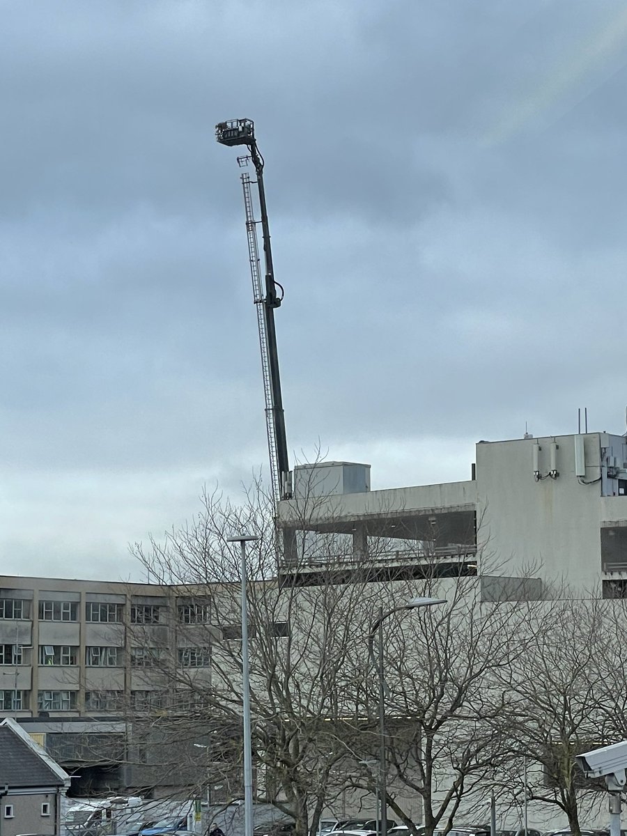 AR Brownlow tweet media