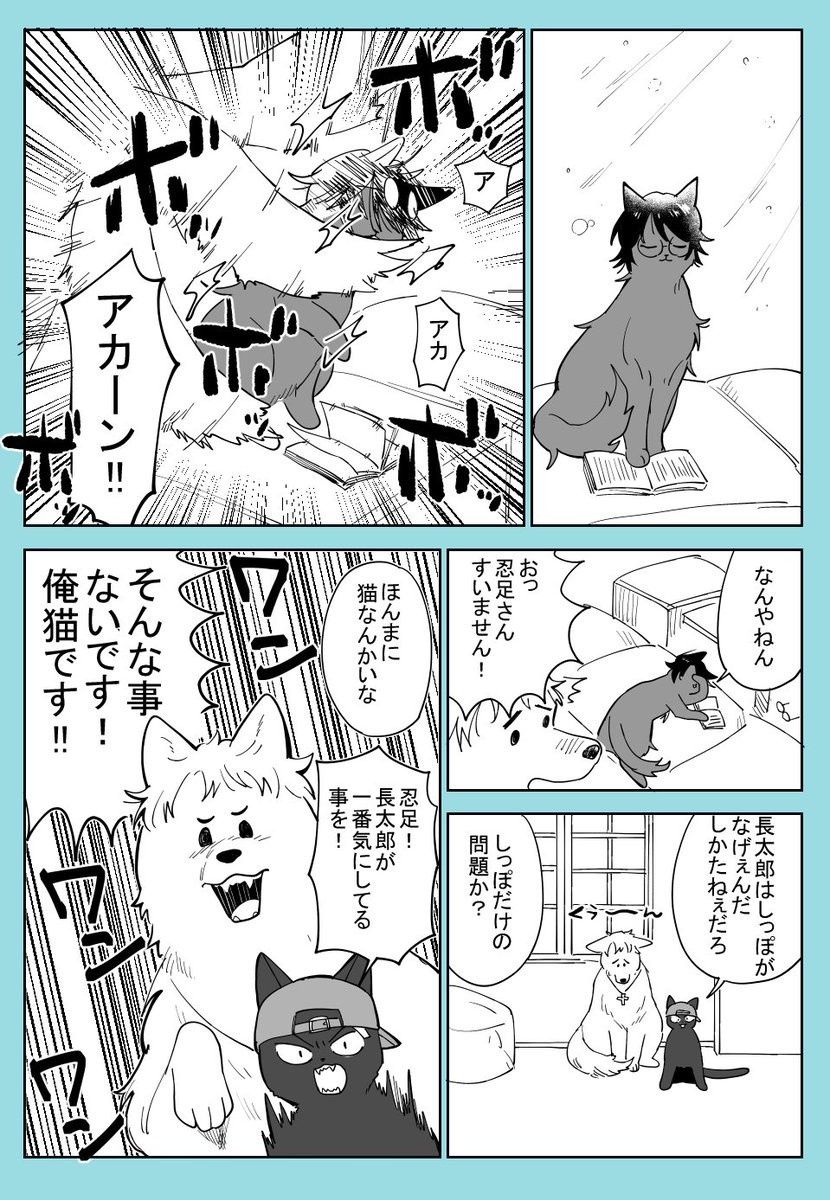 氷帝猫の日 