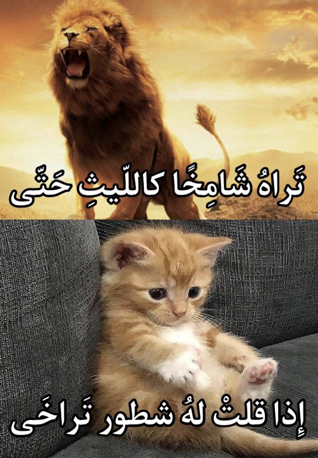 UrWrongChoice (@a7aya2am) on Twitter photo 