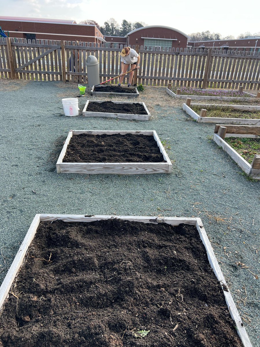 scomorrison's tweet photo. Community-based, interdisciplinary, engaged, experiential, garden-based learning at Elon Elementary! #teachingoutside #enviroed #gardenbaseded @lifelabgarden @AHS_Gardening #ElonEd https://t.co/xJYl8I4GXD
