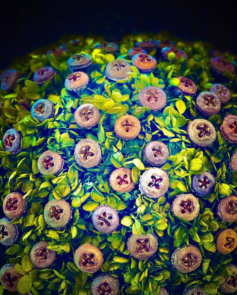 acultus_de's tweet photo. Photo @gg_designart #nicolaibergmann #floralart #flowerdesign 
#flowerdesigner @nicolaibergmann #blumenart #acultus #gg_designart #designart #designartwork https://t.co/fBvnRgwd7g
