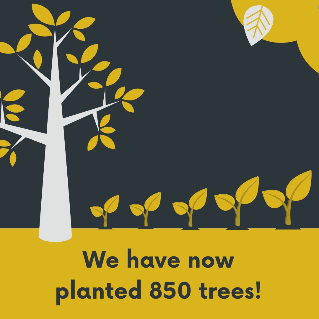 We're thrilled to announce that we've planted 850 trees! 🌳

By offering the option to offset the carbon emissions generated by websites, we're taking action to make a positive impact on the planet.

See our results at bit.ly/3knDe8r 

#Environment #CSR #CSRFriday