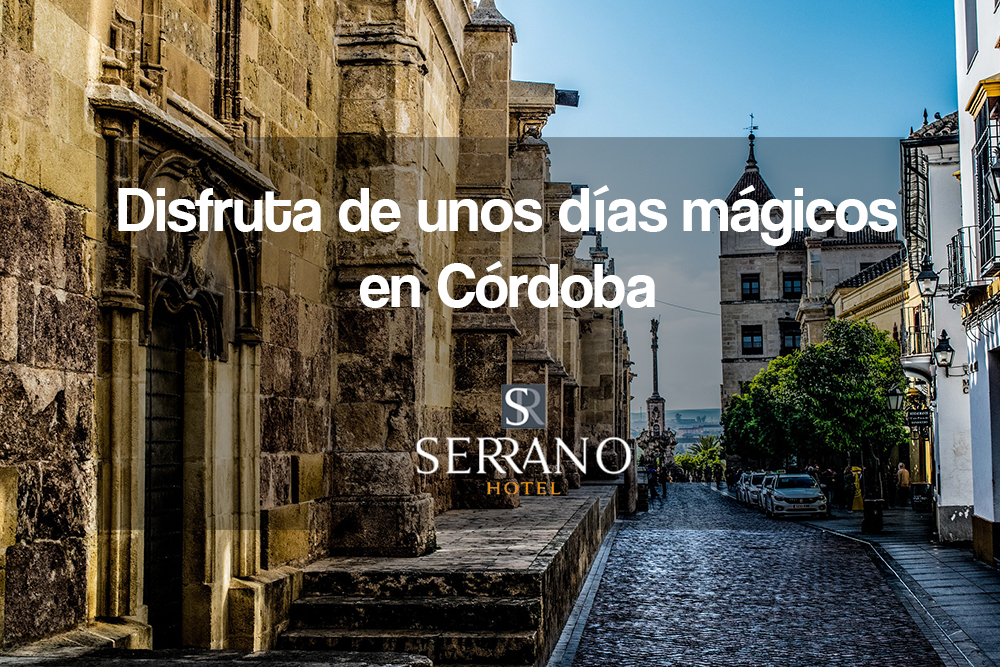 HotelSerrano_C's tweet photo. Disfruta de estos días de descanso en nuestro hotel, situado en pleno centro de la ciudad y a 5 minutos andando de casco antiguo de nuestra ciudad. Conoce Córdoba te va a enamorar 😍🥰 https://t.co/TvrA5n7EVa