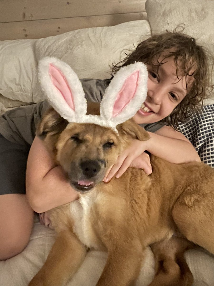 Angela Vargo tweet media