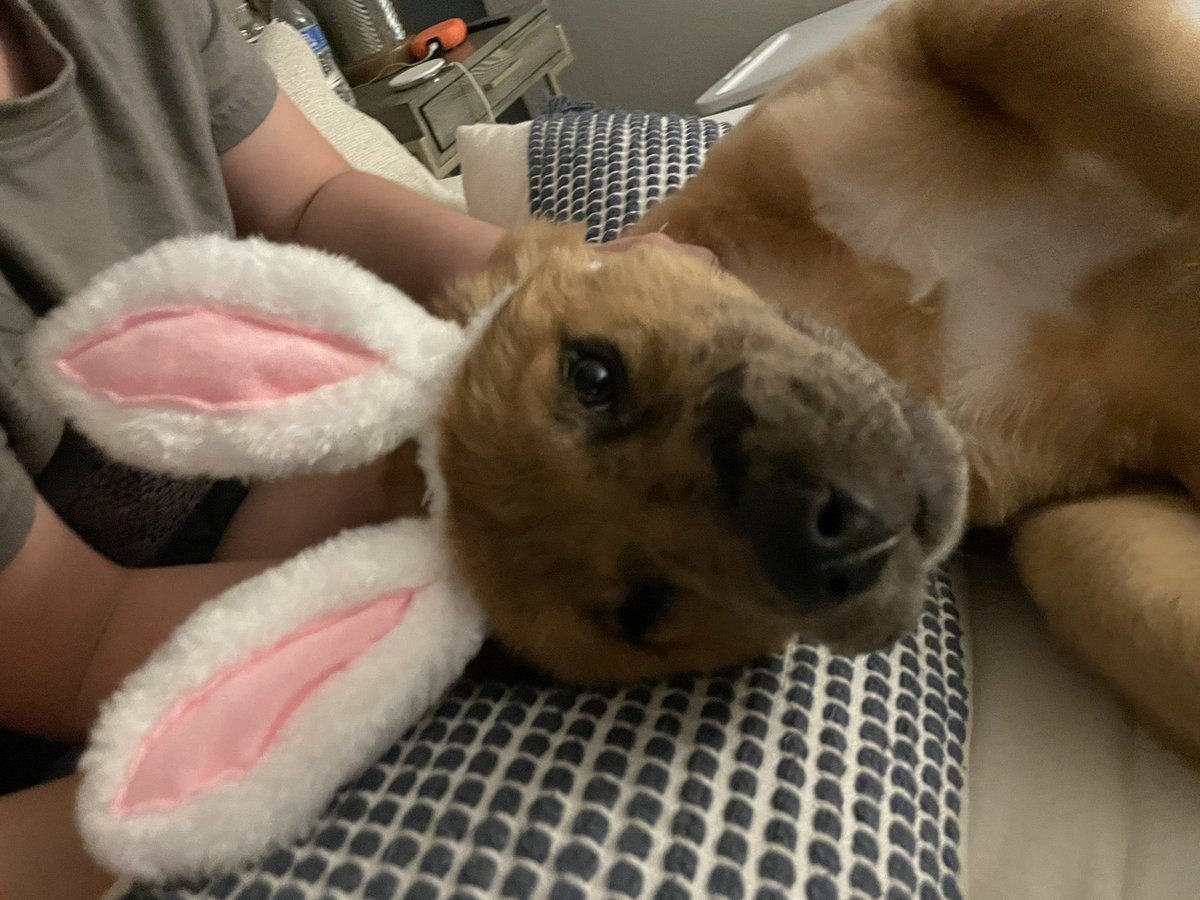 Angela Vargo tweet media