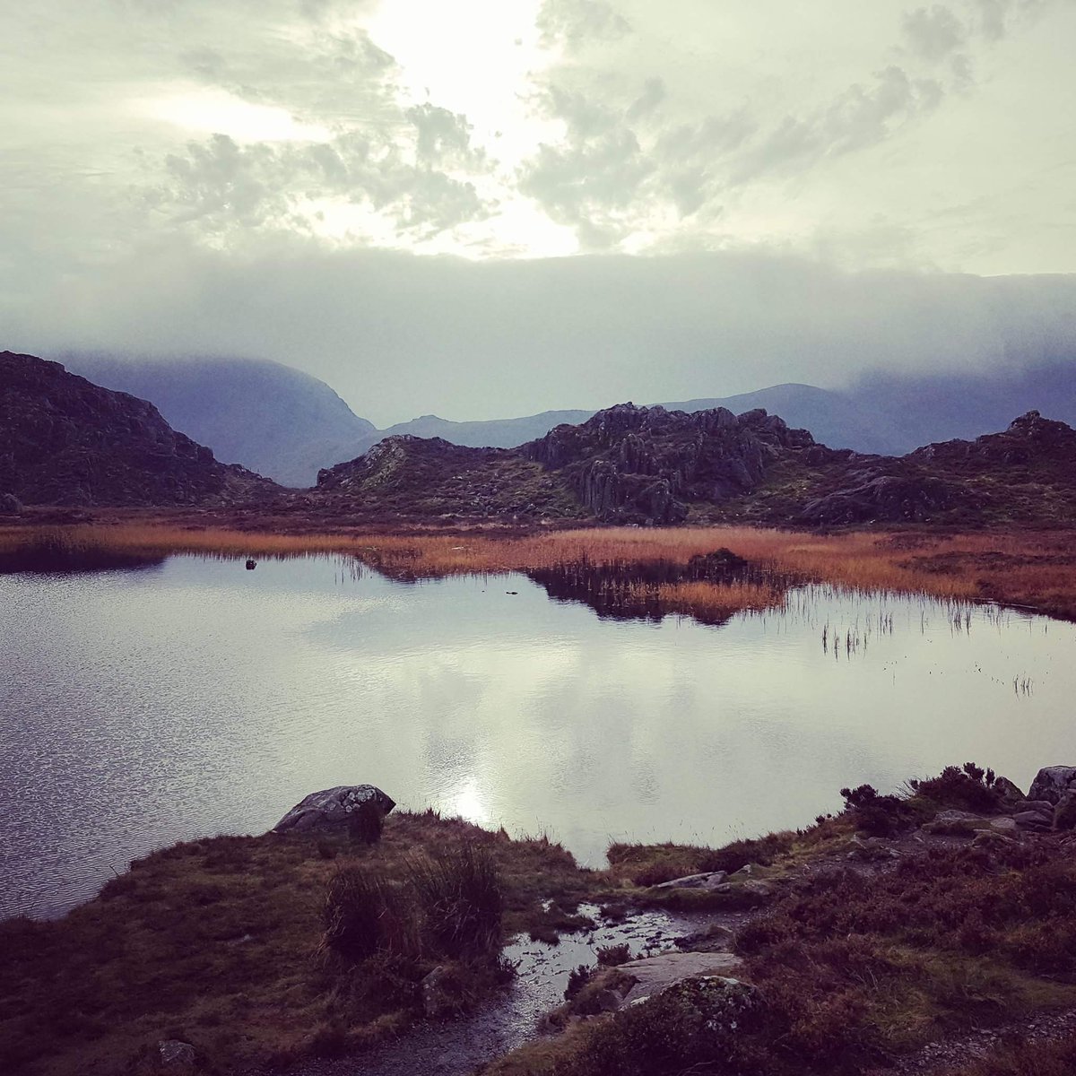 ApparelGyow's tweet photo. It's Fell Friday ⛰️
This one technically isn't a picture of a fell but one of my favourite places on the planet Innominate Tarn, Haystacks .
This one was taken by me 📸
Feel free to share your #fellfriday below
#innominatetarn #haystacks #lakedistrict https://t.co/ZLdgXLe1JE