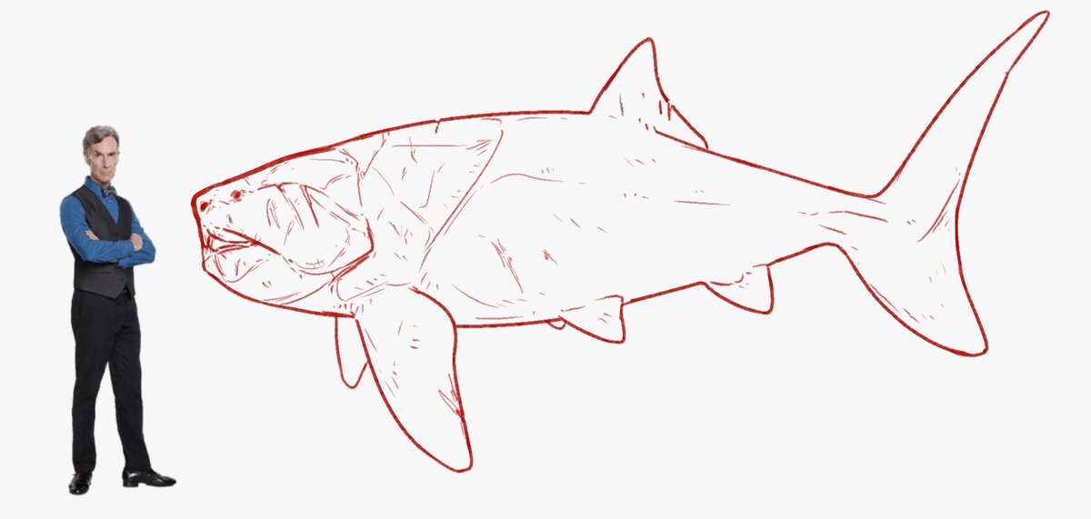 ddinodan's tweet photo. anyways fish got shrunk laugh at him
#paleo #dunkleosteus #bill #nye #billnye #scienceguy #billbillbillbill https://t.co/cwSJqbIkfQ