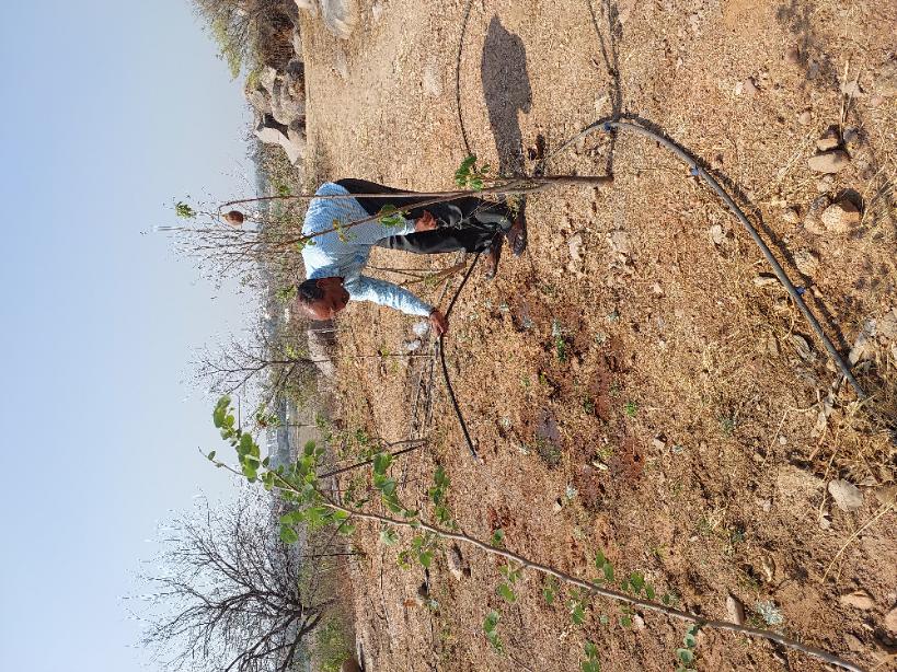 dctellapur's tweet photo. #Harithaharam; watering of plants and trees in #pattana_prakriti_Vanams(#treeparks).
@arvindkumar_ias
@BRGBRS
@cdmatelangana
@KTRBRS
@LalithaSomire1
@Collector_SRD https://t.co/QJHvFbwZ8C
