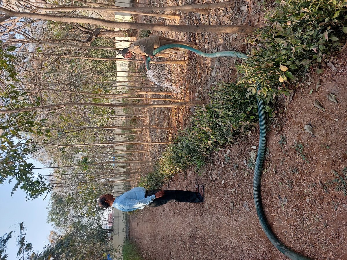 dctellapur's tweet photo. #Harithaharam; watering of plants and trees in #pattana_prakriti_Vanams(#treeparks).
@arvindkumar_ias
@BRGBRS
@cdmatelangana
@KTRBRS
@LalithaSomire1
@Collector_SRD https://t.co/QJHvFbwZ8C