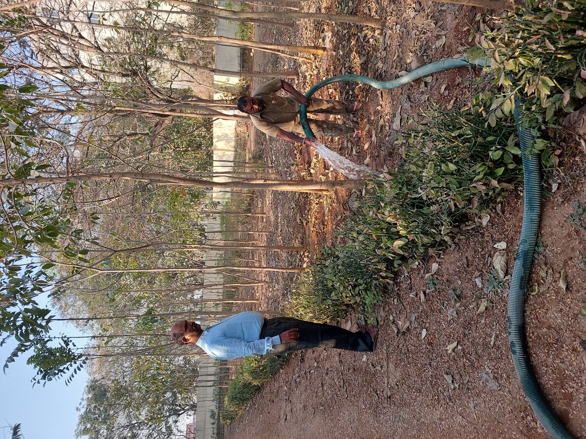 dctellapur's tweet photo. #Harithaharam; watering of plants and trees in #pattana_prakriti_Vanams(#treeparks).
@arvindkumar_ias
@BRGBRS
@cdmatelangana
@KTRBRS
@LalithaSomire1
@Collector_SRD https://t.co/QJHvFbwZ8C