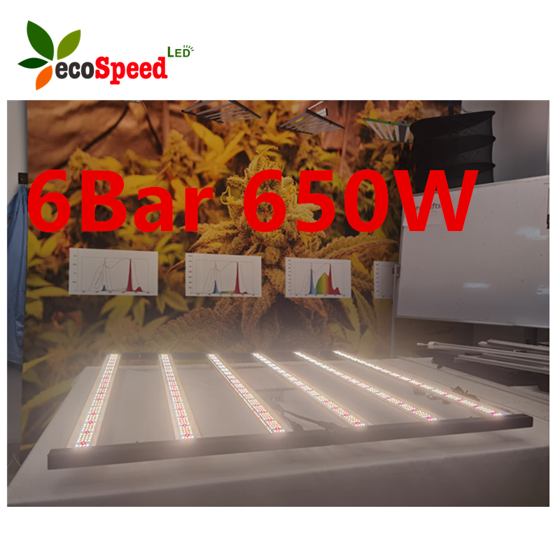 Fannylee188's tweet photo. Ecospeedled shenzhen weili factory grow light 6bar 650w stock
#indoorgrow #ledgrow #600wgrow #farm #growers #verticalfarm #seeding #flower #vegetable #420grow #herbgrow #ledgrowlight https://t.co/yJDIxyyVvP