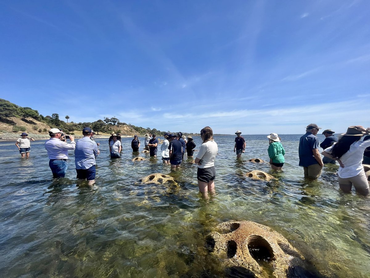 A fabulous day showcasing #livingshorelines to coastal managers with @AlexGoad8 @GreaterGeelong