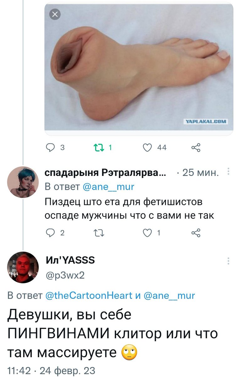 ane__mur's tweet photo. Согласна, бро, эти баппы просто конченые, пингвинами дрочат. Нет бы козой. https://t.co/THXzuaEtVN