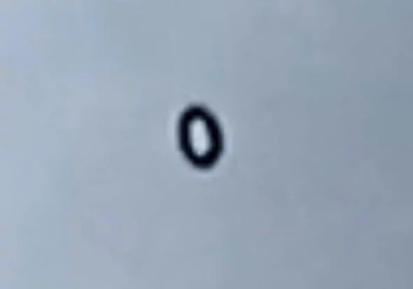 KrakenCove tweet media