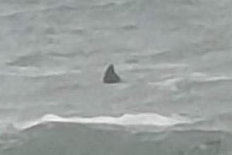 KrakenCove tweet media