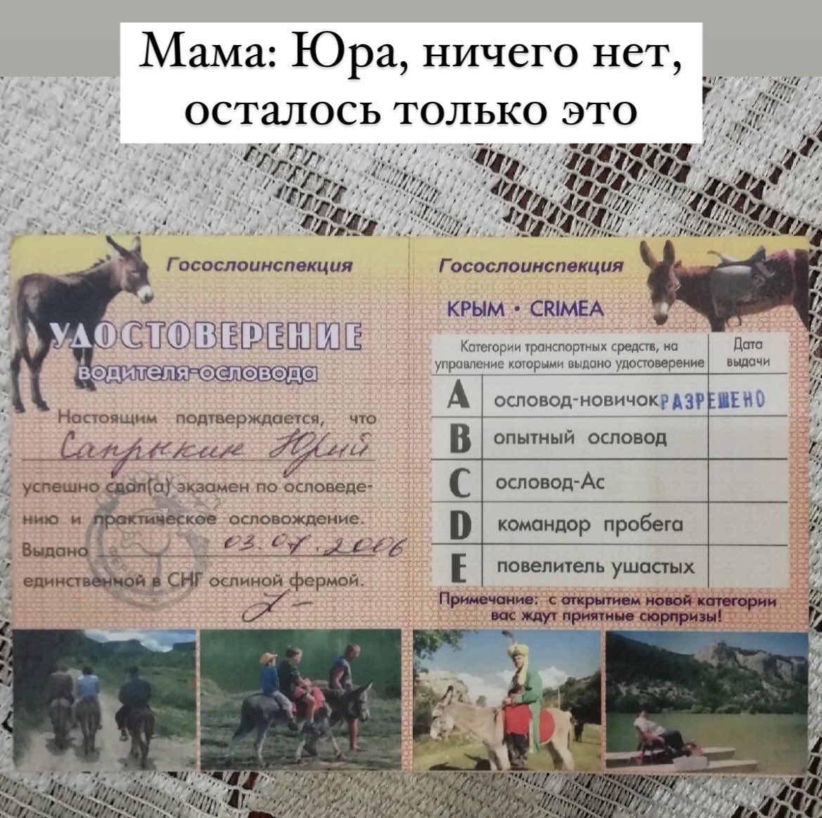 souffrantmitte1's tweet photo. история моей репатриации в двух скриншотах https://t.co/tfnCmp4dhC